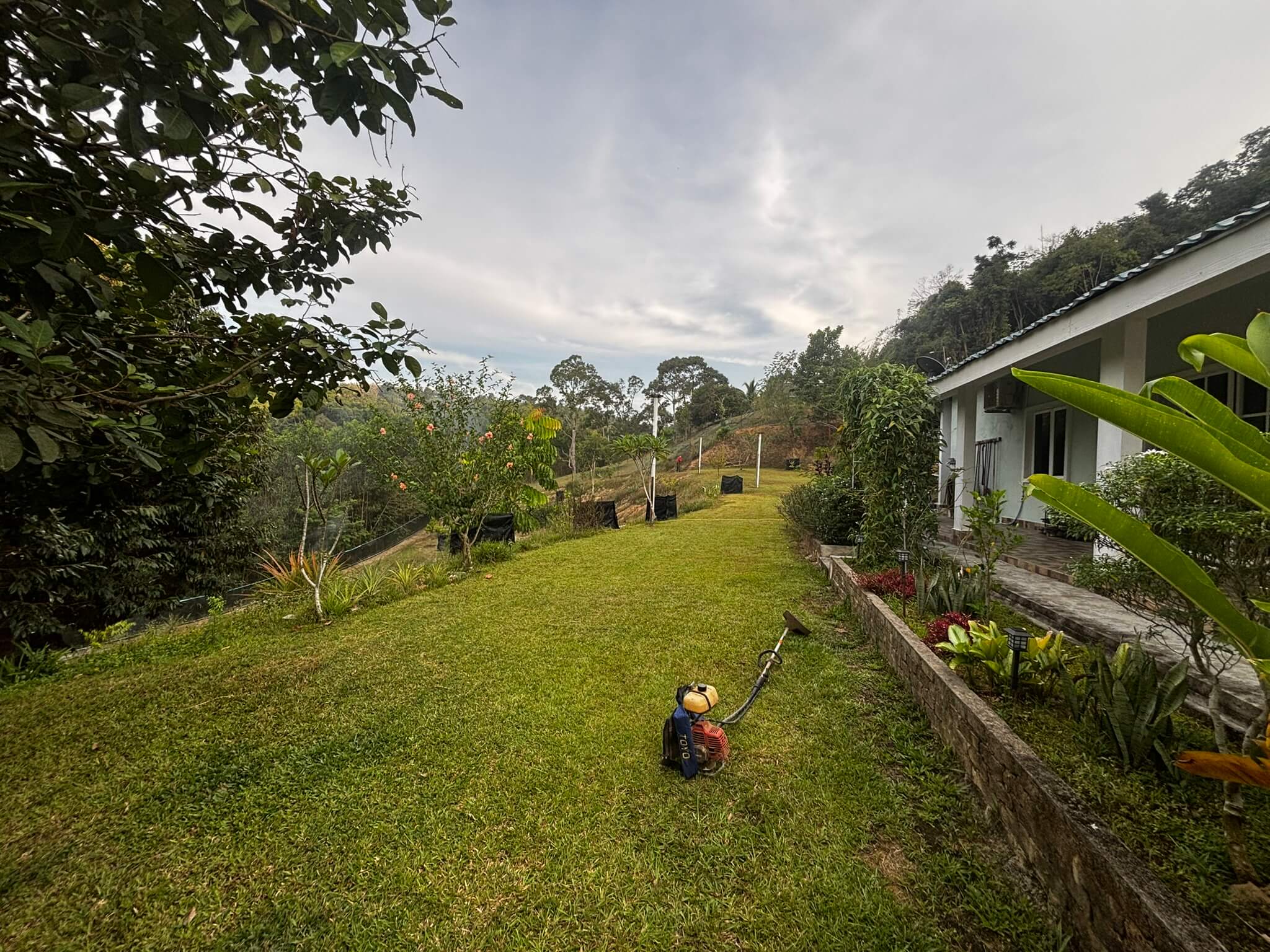 House Side View 3