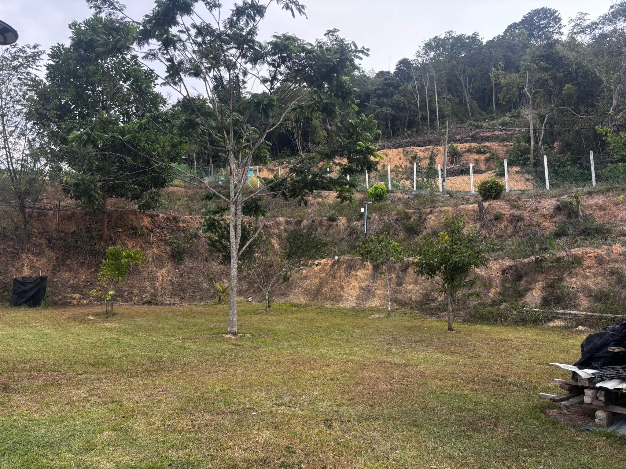 House Side View 7